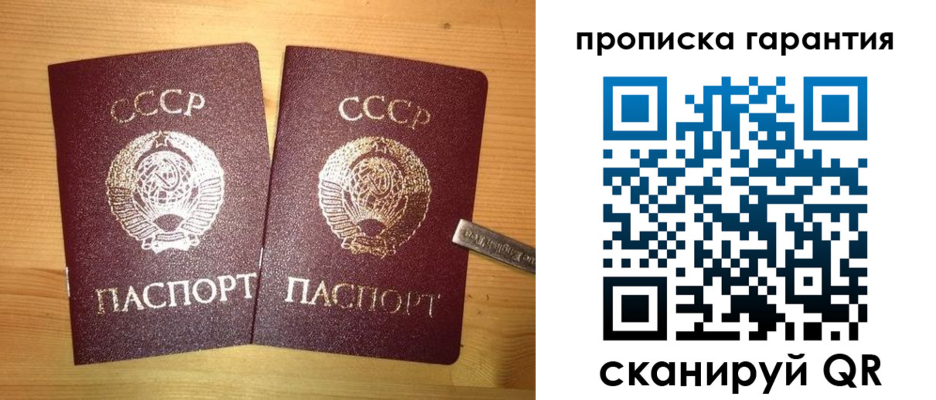 прописка поиск в Киселёвске